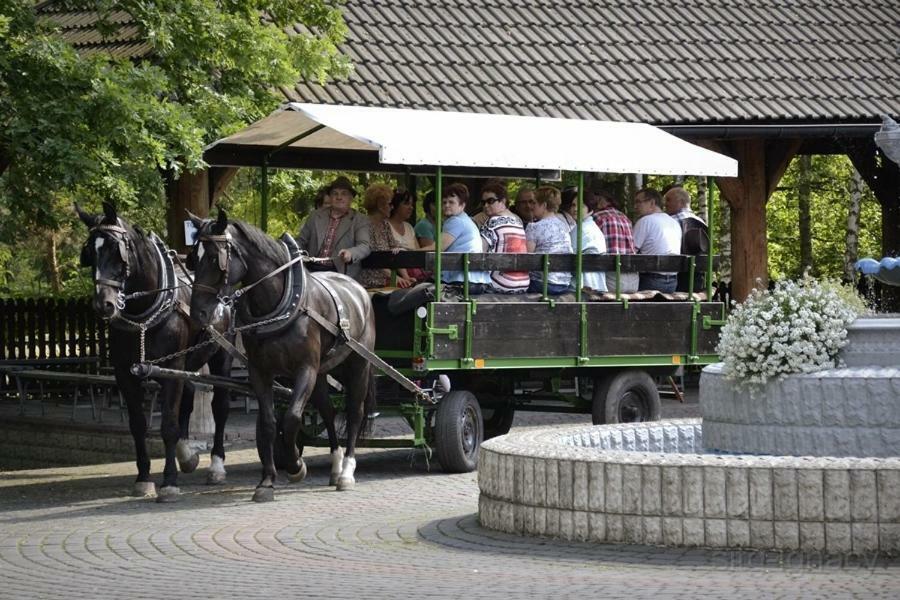 Park Lesny 'U Kaczyny' Rogow Exterior foto